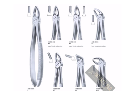 Extracting Forceps upper premolars Fig. 7