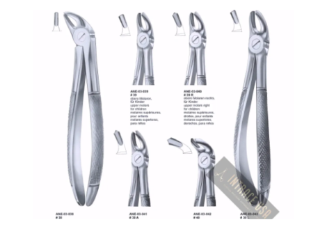 upper molars for children Fig. 39