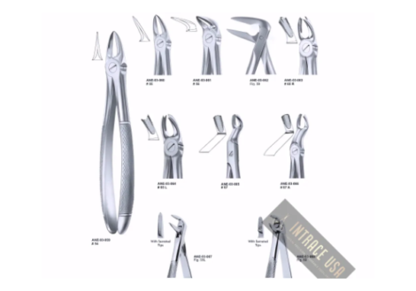 Extracting Forceps lower incisors and roots Fig. 59L
