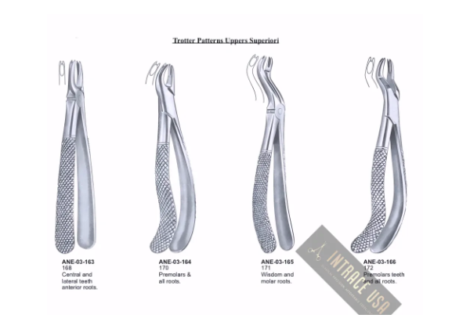 Extracting Forceps Premolars & all roots. Fig. 170