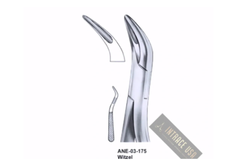 Roots Splinter Forceps Witzel upper roots