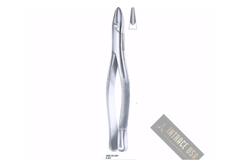 Extracting Forceps Winter upper centrals and canines Fig. W1