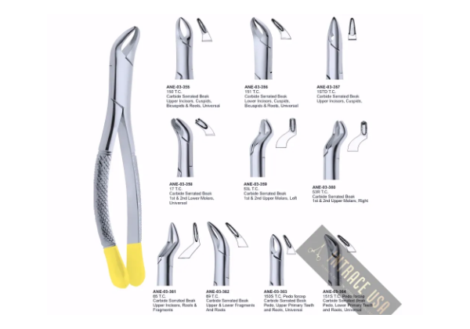 Carbide Serrated Beak 1st & 2nd Upper Molars T.C.