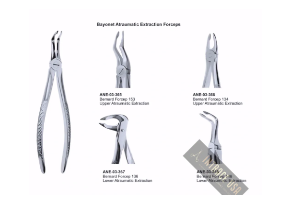 Bernard Forcep 146 Lower Atraumatic Extraction