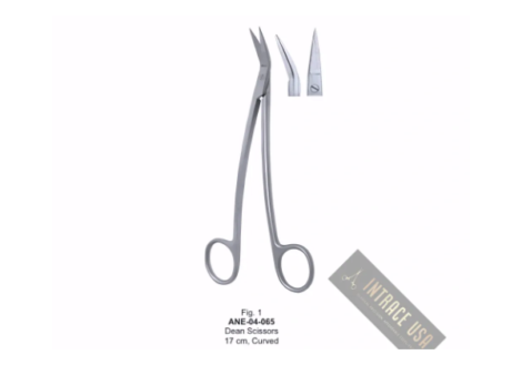 Dean Scissors , Curved
