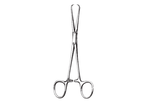 Bernhard Towel Forceps