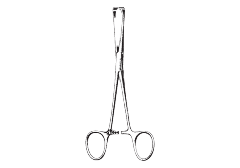 Boys - Allis Tissue and Organ Holding Forcep, 5 X 6 Teeth