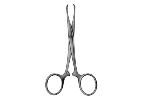 Chaput Tissue & Organ Holding Forcep