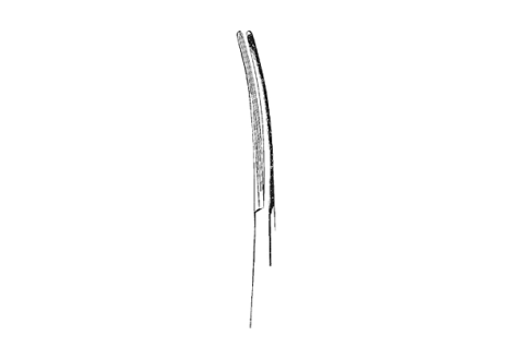 Crafoord-Sellors Auricle Forceps