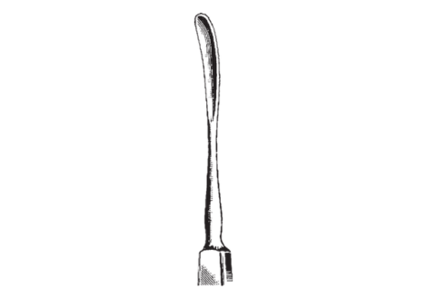 Daviel Lens Spoon