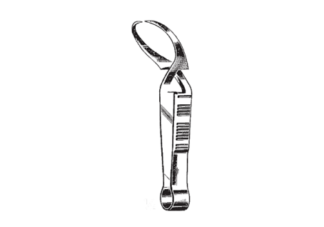 Engl-Modell Towel Forceps