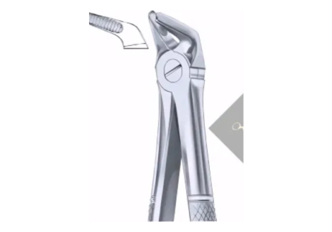 Extracting Forceps Lower Premolars Fig. 8