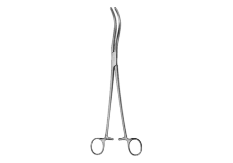 Guyon Kidney Pedicle Clamps