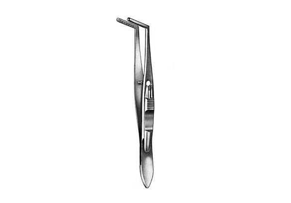 Jameson Muscular Forcep