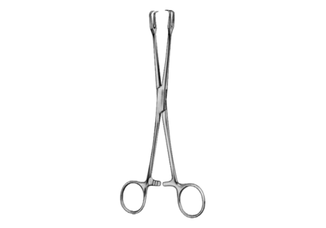 Museux Tenaculum Forcep