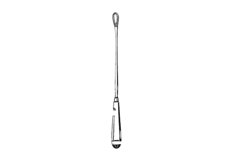 Pestalozza Abortion Scoop