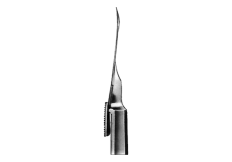 Reverdin Needle Fig 1.
