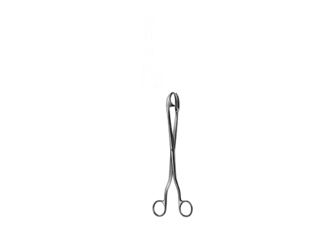 Rogge Sterilizing Forcep