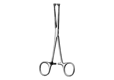 Steinmann Tendon Seizing Instrument