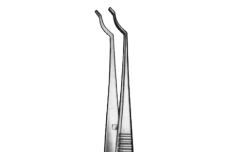 Terson Capsular Forcep