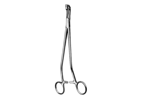 Van Doren Cervical Biopsy and Specimen Forcep With Ratchet