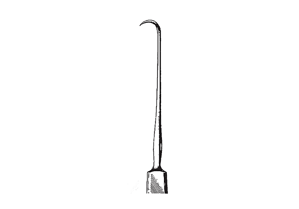 Wiener Iris Hook