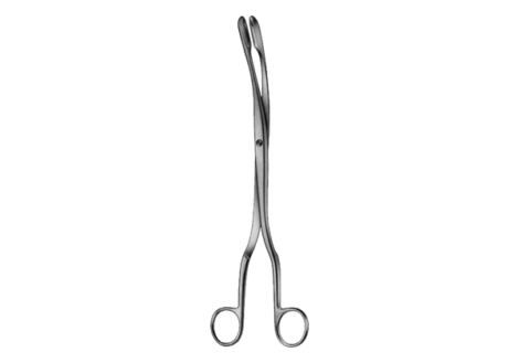 Winter Placenta and Ovum Forcep