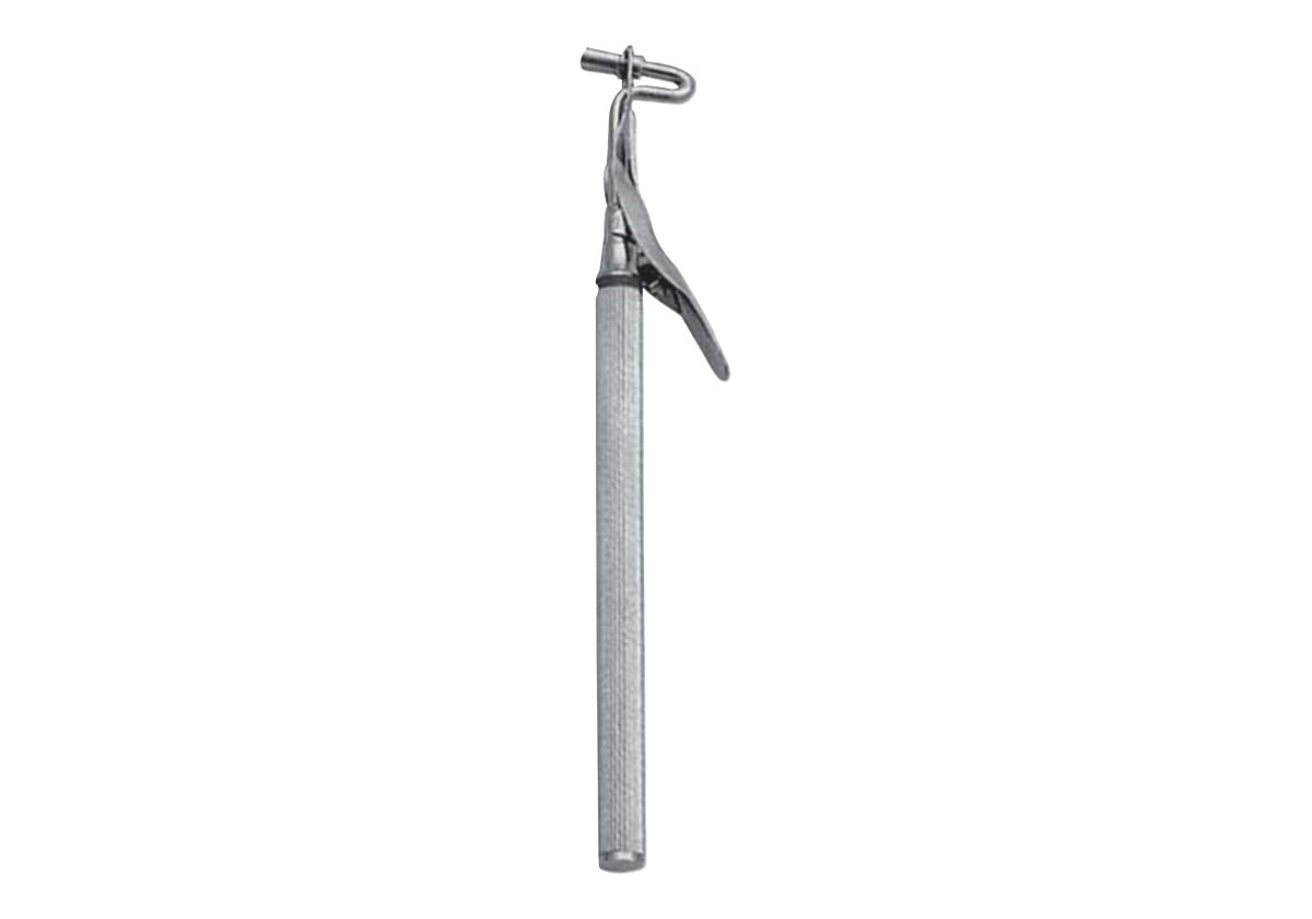 amalgam carrier