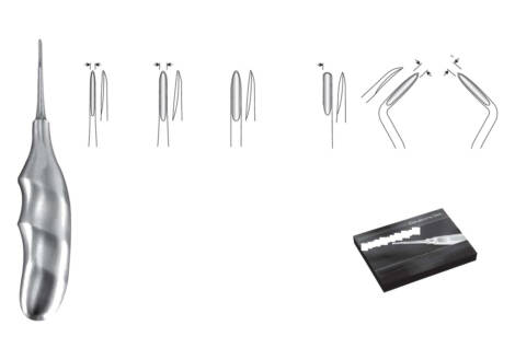Bein & Flohr Root Elevator Set, 6 Pieces with sterilization cassette