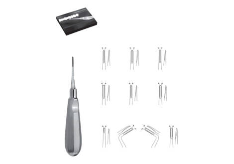 Bein Root Elevator Set, 10 Pieces with sterilization cassette