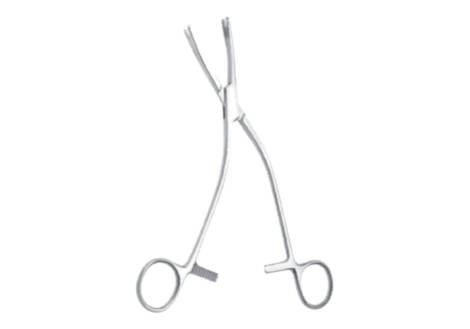 bone graft holding forceps