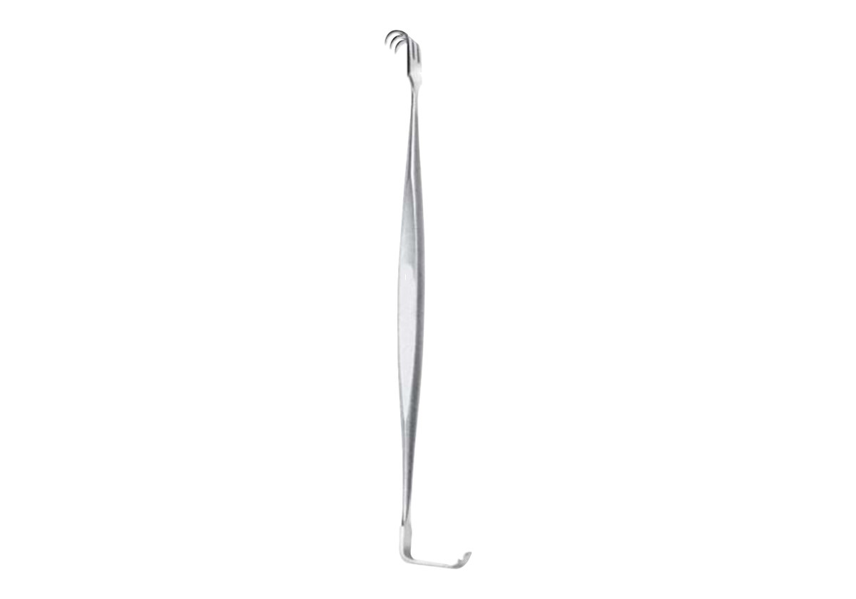rake and flat retractor