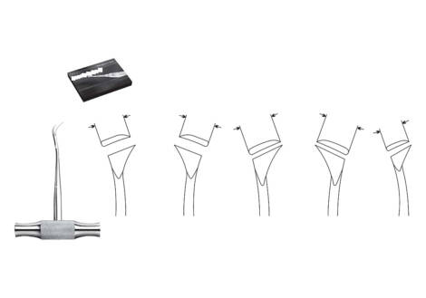 Cryer Root Elevator Set, 6 Pieces with sterilization cassette
