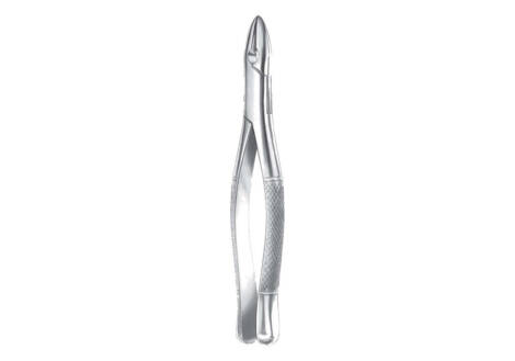 winter forceps fig w1
