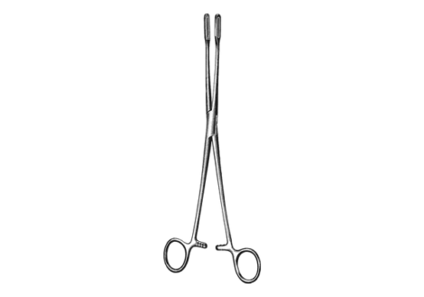 Fletcher sponge forceps