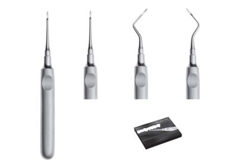 Heidebrink Root Tip Pick Set, 4 Pieces with sterilization cassette