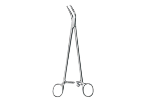 Herz tendon seizing forceps