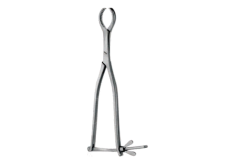 Hey Groves holding forceps