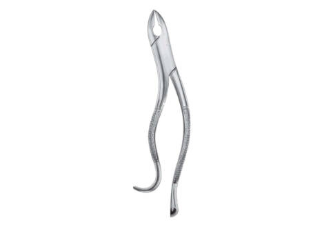 kells extracting forceps