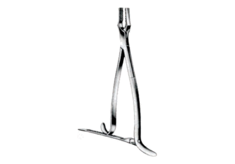 Kern bone holding forceps