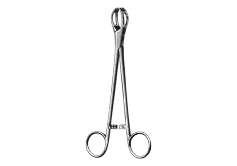 Lane towel forceps