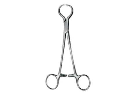 Lewin bone holding forceps