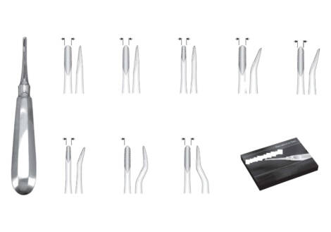Lindo-Levian Root Elevator Set, 8 Pieces with sterilization cassette