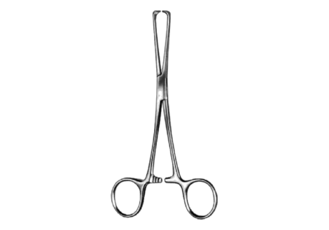 Lockwood-Allis forceps