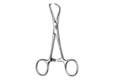 Lorna towel forceps