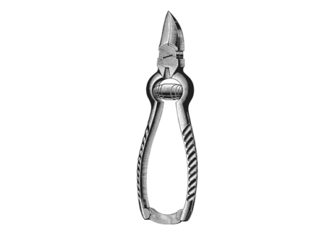 nail cutter