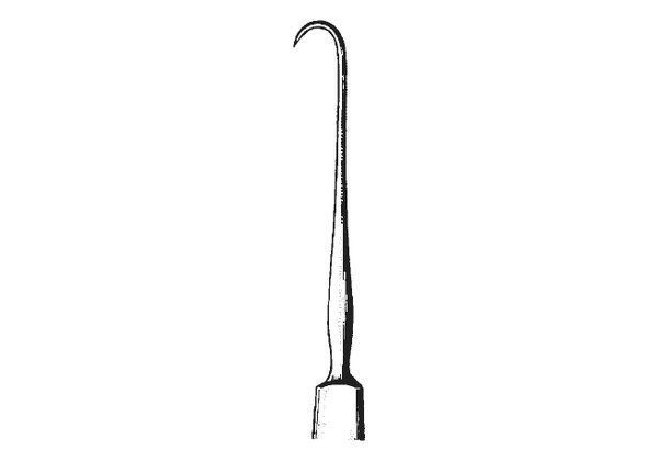 o'connor iris hook