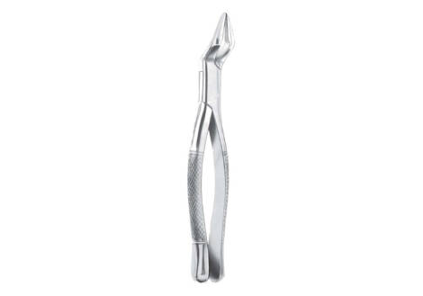 parmly extracting forceps