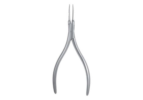 pin and fragment forceps