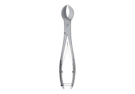 plaster shears